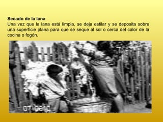Secado de la lana  Una vez que la lana está limpia, se deja estilar y se deposita sobre una superficie plana para que se seque al sol o cerca del calor de la cocina o fogón. 