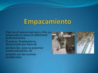 Una vez el azúcar esté seco y frío, es
empacado en sacos de diferentes
presentaciones.
El azúcar, finalmente es
almacenado por lotes de
producción, para su posterior
comercialización, de
acuerdo con las normas
establecidas
 