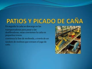 En seguida la caña se descarga en las
transportadoras para pasar a las
desfibradoras, estas convierten la caña en
pequeños trozos.
comienza la fase de molienda, a través de un
tándem de molinos que extraen el jugo de
caña.
 