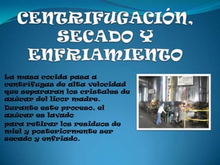 La masa cocida pasa a
centrífugas de alta velocidad
que separaran los cristales de
azúcar del licor madre.
Durante este proceso, el
azúcar es lavado
para retirar los residuos de
miel y posteriormente ser
secado y enfriado.
 
