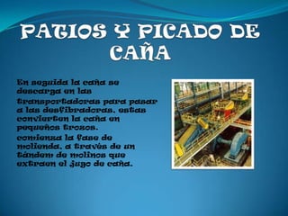 En seguida la caña se
descarga en las
transportadoras para pasar
a las desfibradoras, estas
convierten la caña en
pequeños trozos.
comienza la fase de
molienda, a través de un
tándem de molinos que
extraen el jugo de caña.
 