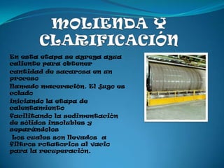 En esta etapa se agrega agua
caliente para obtener
cantidad de sacarosa en un
proceso
llamado maceración. El jugo es
colado
iniciando la etapa de
calentamiento
facilitando la sedimentación
de sólidos insolubles y
separándolos
 Los cuales son llevados a
filtros rotatorios al vacio
para la recuperación.
 