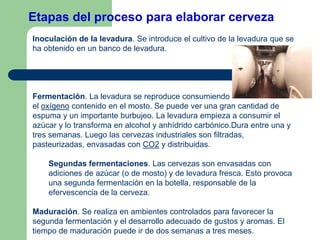 Etapas del proceso para elaborar cerveza
Inoculación de la levadura. Se introduce el cultivo de la levadura que se
ha obtenido en un banco de levadura.
Fermentación. La levadura se reproduce consumiendo
el oxígeno contenido en el mosto. Se puede ver una gran cantidad de
espuma y un importante burbujeo. La levadura empieza a consumir el
azúcar y lo transforma en alcohol y anhídrido carbónico.Dura entre una y
tres semanas. Luego las cervezas industriales son filtradas,
pasteurizadas, envasadas con CO2 y distribuidas.
Segundas fermentaciones. Las cervezas son envasadas con
adiciones de azúcar (o de mosto) y de levadura fresca. Esto provoca
una segunda fermentación en la botella, responsable de la
efervescencia de la cerveza.
Maduración. Se realiza en ambientes controlados para favorecer la
segunda fermentación y el desarrollo adecuado de gustos y aromas. El
tiempo de maduración puede ir de dos semanas a tres meses.
 