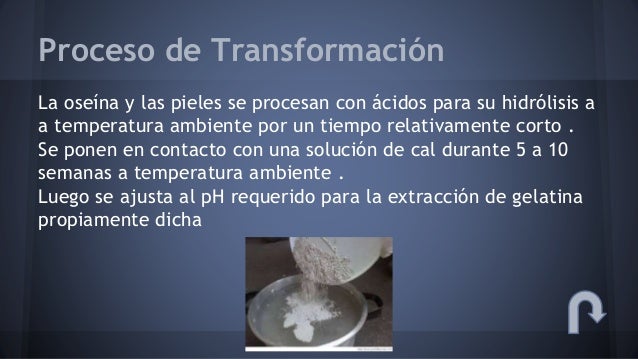 Proceso productivo de la gelatina