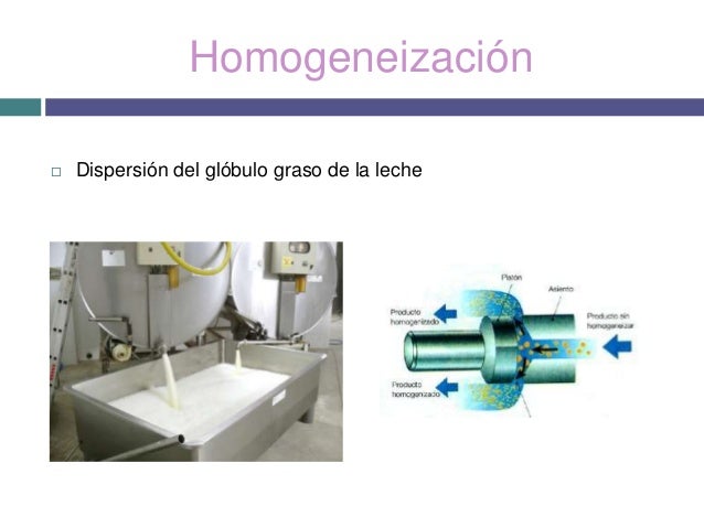 Proceso productivo de la leche