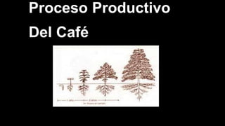 Proceso Productivo
Del Café
 