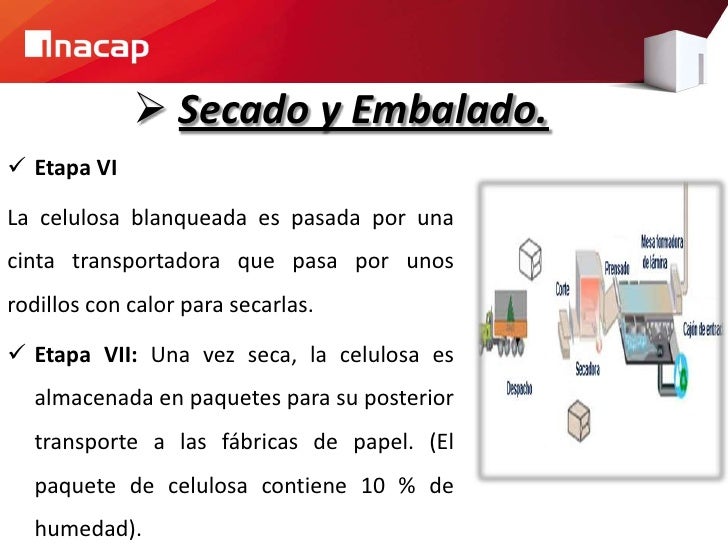 Proceso productivo del papel.