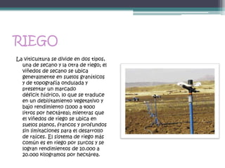 RIEGO
La viticultura se divide en dos tipos,
  una de secano y la otra de riego; el
  viñedos de secano se ubica
  generalmente en suelos graníticos
  y de topografía ondulada y
  presentar un marcado
  déficit hídrico, lo que se traduce
  en un debilitamiento vegetativo y
  bajo rendimiento (1000 a 4000
  litros por hectárea); mientras que
  el viñedos de riego se ubica en
  suelos planos, francos y profundos
  sin limitaciones para el desarrollo
  de raíces. El sistema de riego más
  común es en riego por surcos y se
  logran rendimientos de 10.000 a
  20.000 kilogramos por hectárea.
 