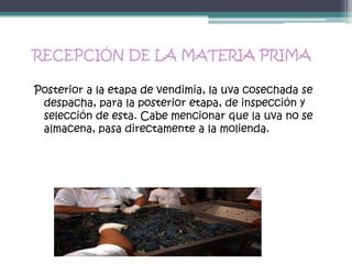 RECEPCIÓN DE LA MATERIA PRIMA

Posterior a la etapa de vendimia, la uva cosechada se
 despacha, para la posterior etapa, de inspección y
 selección de esta. Cabe mencionar que la uva no se
 almacena, pasa directamente a la molienda.
 