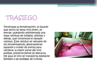 TRASIEGO
Terminada la fermentación, el líquido
que ahora se llama vino joven, se
extrae, quedando sedimentada una
masa residual de hollejos, semillas y
demás, que constituye el llamado
residuo. Éste residuo se remueve de
los fermentadores, generalmente
pasando a través de prensa para
recobrar la mayor parte del vino
posible, posteriormente se descarta.
De aquí el vino se transporta mediante
bombeo a las bodegas de crianza.
 