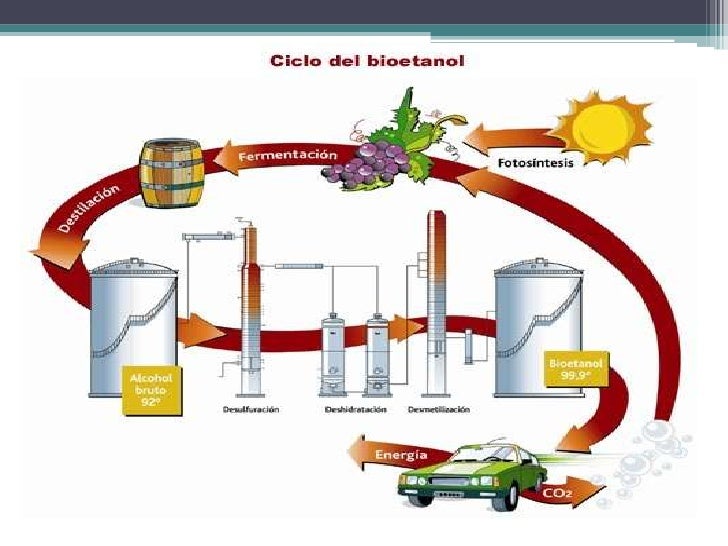 cadena productiva vitivinicola proceso productivo del vino 1 cadena productiva vitivinicola proceso productivo del vino 1