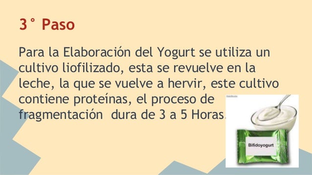 Proceso productivo del Yogurt
