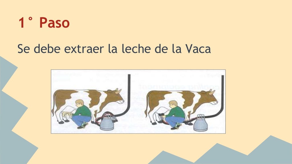 Proceso productivo del Yogurt