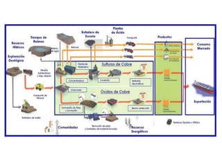 Proceso productivo generalidades