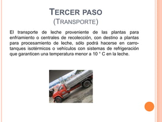 TERCER PASO
                    (TRANSPORTE)
El transporte de leche proveniente de las plantas para
enfriamiento o centrales de recolección, con destino a plantas
para procesamiento de leche, sólo podrá hacerse en carro-
tanques isotérmicos o vehículos con sistemas de refrigeración
que garanticen una temperatura menor a 10 ° C en la leche.
 