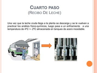 CUARTO PASO
                  (RECIBO DE LECHE)

Una vez que la leche cruda llega a la planta se descarga y se le vuelven a
practicar los análisis físico-químicos, luego pasa a un enfriamiento a una
temperatura de 4ºC +- 2ºC almacenada en tanques de acero inoxidable.
 