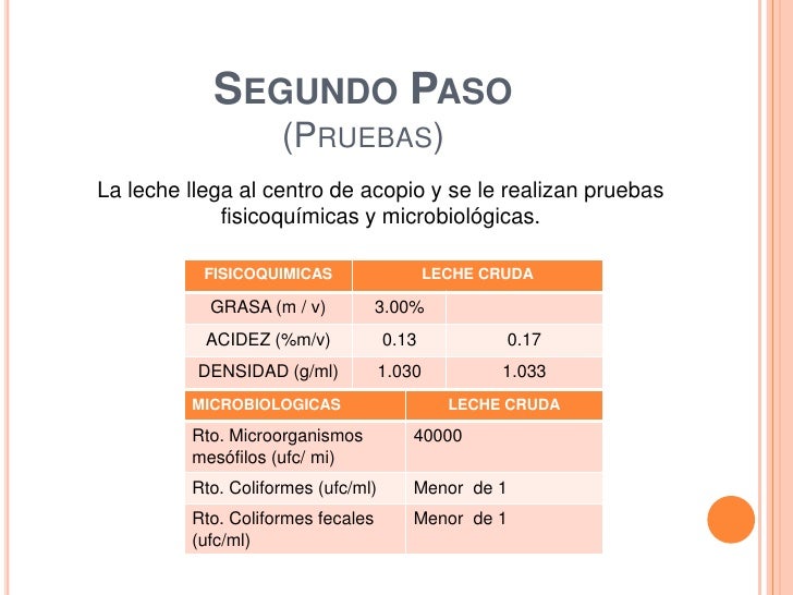 cadena productiva lechera mexico proceso productivo leche cadena productiva lechera mexico proceso productivo leche