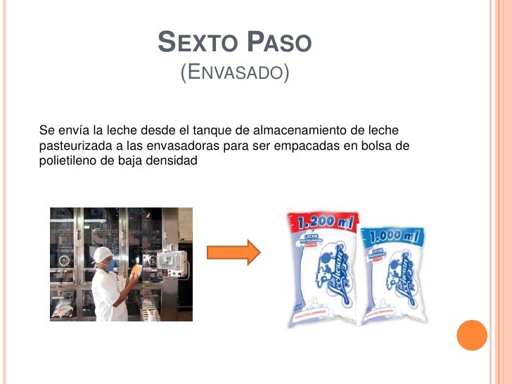 Proceso productivo leche