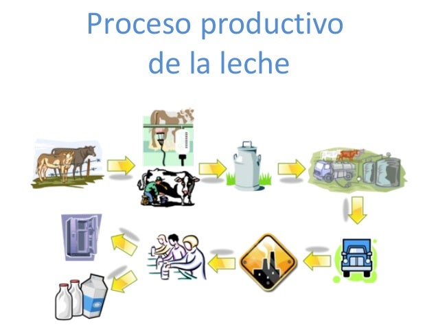 cadena productiva lechera mexico proceso productivo de la leche final cadena productiva lechera mexico proceso productivo de la leche final