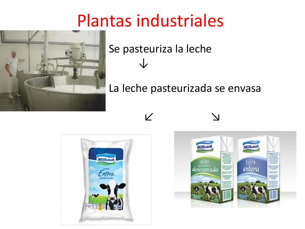 Proceso productivo de la leche final