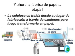 Y ahora la fabrica de papel…
etapa I
• La celulosa es traída desde su lugar de
fabricación a través de camiones para
luego transformarla en papel.
 