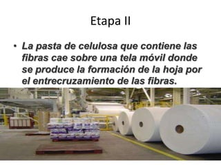 Etapa II
• La pasta de celulosa que contiene las
fibras cae sobre una tela móvil donde
se produce la formación de la hoja por
el entrecruzamiento de las fibras.
 