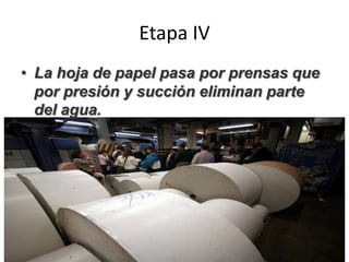 Etapa IV
• La hoja de papel pasa por prensas que
por presión y succión eliminan parte
del agua.
 