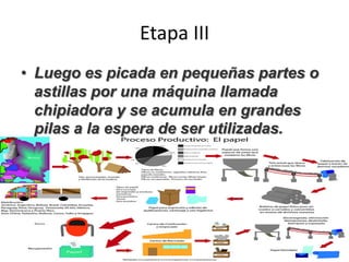 Etapa III
• Luego es picada en pequeñas partes o
astillas por una máquina llamada
chipiadora y se acumula en grandes
pilas a la espera de ser utilizadas.
 