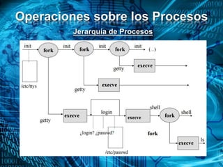 Operaciones sobre los Procesos
Jerarquía de Procesos
 