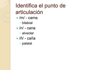 Identifica el punto de
articulación
 /m/ - cama
◦ bilabial
 /n/ - cana
◦ alveolar
 /ñ/ - caña
◦ palatal
 
