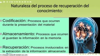 Naturaleza del proceso de recuperación del
conocimiento:
 
