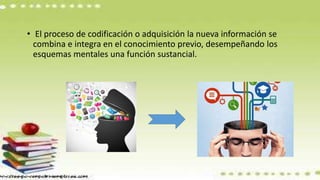 • El proceso de codificación o adquisición la nueva información se
combina e integra en el conocimiento previo, desempeñando los
esquemas mentales una función sustancial.
 