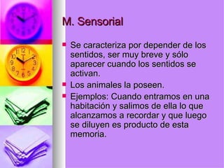 M. Sensorial Se caracteriza por depender de los sentidos, ser muy breve y sólo aparecer cuando los sentidos se activan.  Los animales la poseen. Ejemplos: Cuando entramos en una habitación y salimos de ella lo que alcanzamos a recordar y que luego se diluyen es producto de esta memoria. 