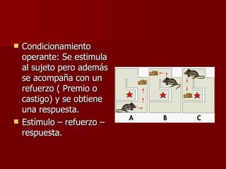 Condicionamiento operante: Se estimula al sujeto pero además se acompaña con un refuerzo ( Premio o castigo) y se obtiene una respuesta. Estímulo – refuerzo – respuesta. 