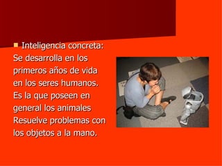 Inteligencia concreta: Se desarrolla en los primeros años de vida en los seres humanos. Es la que poseen en general los animales Resuelve problemas con  los objetos a la mano. 