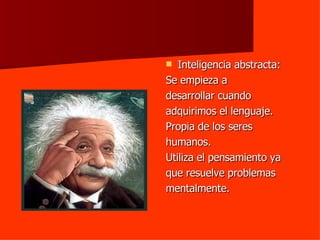 Inteligencia abstracta: Se empieza a desarrollar cuando adquirimos el lenguaje. Propia de los seres  humanos. Utiliza el pensamiento ya que resuelve problemas mentalmente. 