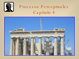 Procesos Perceptuales Capítulo 4 