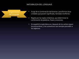 NATURALEZA DEL LENGUAJE
Organización
del lenguaje
• Surge de la combinación de fonemas para formar otras
unidades que poseen significado, llamadas morfemas.
• Regido por las reglas sintácticas, que determinan la
combinación de palabras, frases y oraciones.
• En español la regla básica es: después de los verbos siguen
los pronombres, y los sustantivos casi siempre preceden a
los adjetivos.
 