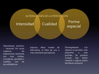 ALTERACIONES DE LA PERCEPCION
Intensidad Cualidad
Forma
espacial
Hiperestesia sensitivo
- sensorial: Sin causa
orgánica, las
experiencias sensitivas
son mas vívidas,
cromáticas, sensibles o
audibles. Uso de
psicodislépticos
Ictericia: Altos niveles de
billirrubina, la falta de uno o
mas caracteres perceptivos.
Dismegalopsia: Los
objetos se perciben mas
pequeños o mas
grandes. Se produce
cuando hay lesión
cerebral o alguna lesión
del lóbulo temporal
 