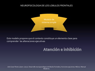 NEUROPSICOLOGIA DE LOS LOBULOS FRONTALES
Modelo de
sistema simple
Este modelo propone que el contexto constituye un elemento clase para
comprender las alteraciones ejecutivas
Julio Cesar Flores Lázaro. (2012). Desarrollo neuropsicológico de lóbulos frontales y funciones ejecutivas. México: Manual
Moderno.
 