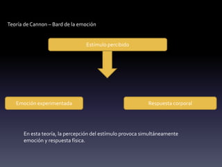 Teoría de Cannon – Bard de la emoción
Estímulo percibido
Emoción experimentada Respuesta corporal
En esta teoría, la percepción del estímulo provoca simultáneamente
emoción y respuesta física.
 