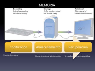 MEMORIA
Codificación Almacenamiento Recuperación
Proceso de registro
Mantenimiento de la información Se trae la inconsciente y se utiliza.
 