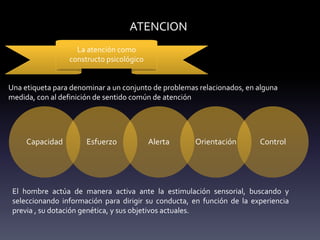 ATENCION
La atención como
constructo psicológico
Una etiqueta para denominar a un conjunto de problemas relacionados, en alguna
medida, con al definición de sentido común de atención
Capacidad Esfuerzo Alerta Orientación Control
El hombre actúa de manera activa ante la estimulación sensorial, buscando y
seleccionando información para dirigir su conducta, en función de la experiencia
previa , su dotación genética, y sus objetivos actuales.
 
