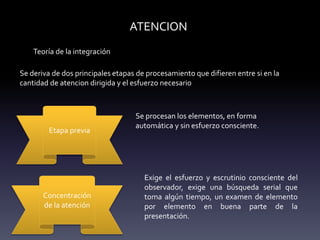 ATENCION
Teoría de la integración
Se deriva de dos principales etapas de procesamiento que difieren entre si en la
cantidad de atencion dirigida y el esfuerzo necesario
Concentración
de la atención
Etapa previa
Se procesan los elementos, en forma
automática y sin esfuerzo consciente.
Exige el esfuerzo y escrutinio consciente del
observador, exige una búsqueda serial que
toma algún tiempo, un examen de elemento
por elemento en buena parte de la
presentación.
 