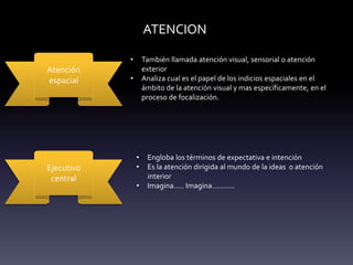 ATENCION
Atención
espacial
• También llamada atención visual, sensorial o atención
exterior
• Analiza cual es el papel de los indicios espaciales en el
ámbito de la atención visual y mas específicamente, en el
proceso de focalización.
Ejecutivo
central
• Engloba los términos de expectativa e intención
• Es la atención dirigida al mundo de la ideas o atención
interior
• Imagina….. Imagina………..
 