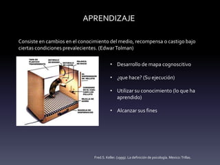APRENDIZAJE
Consiste en cambios en el conocimiento del medio, recompensa o castigo bajo
ciertas condiciones prevalecientes. (EdwarTolman)
• Desarrollo de mapa cognoscitivo
• ¿que hace? (Su ejecución)
• Utilizar su conocimiento (lo que ha
aprendido)
• Alcanzar sus fines
Fred.S. Keller. (1999). La definición de psicología. Mexico:Trillas.
 