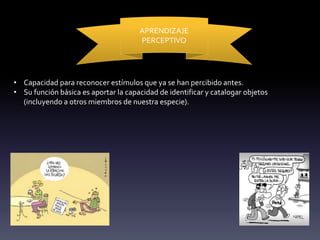 APRENDIZAJE
PERCEPTIVO
• Capacidad para reconocer estímulos que ya se han percibido antes.
• Su función básica es aportar la capacidad de identificar y catalogar objetos
(incluyendo a otros miembros de nuestra especie).
 