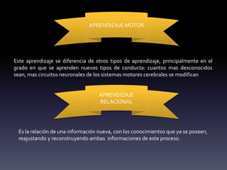 APRENDIZAJE MOTOR
Este aprendizaje se diferencia de otros tipos de aprendizaje, principalmente en el
grado en que se aprenden nuevos tipos de conducta: cuantos mas desconocidos
sean, mas circuitos neuronales de los sistemas motores cerebrales se modifican
APRENDIZAJE
RELACIONAL
Es la relación de una información nueva, con los conocimientos que ya se poseen,
reajustando y reconstruyendo ambas informaciones de este proceso.
 