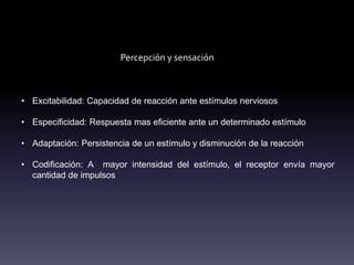Percepción y sensación
Características físico - químicas de los receptores
sensoriales
• Excitabilidad: Capacidad de reacción ante estímulos nerviosos
• Especificidad: Respuesta mas eficiente ante un determinado estímulo
• Adaptación: Persistencia de un estímulo y disminución de la reacción
• Codificación: A mayor intensidad del estímulo, el receptor envía mayor
cantidad de impulsos
 
