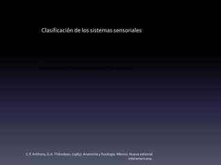 Clasificación de los sistemas sensoriales
Termorreceptor: Se estimulan con el cambio de
temperatura.
Ubicados en distintas partes del cuerpo
C.P. Anthony,G.A.Thibodeau. (1983). Anatomía y fisiología. México: Nueva editorial
interamericana.
 
